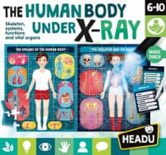 Headu Ľudské telo pod röntgenom