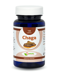 Natural Pharm Chaga tablety 100 ks