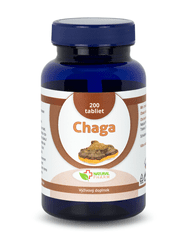Natural Pharm Chaga tablety 200 ks