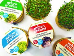 commshop Microgreens - čarovná záhradka, mikro bylinky - horčica