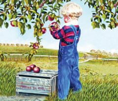 Zber jabĺk
