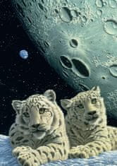 Grafika Snežné leopardy
