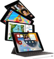 Apple iPad 2021, 256GB, Wi-Fi, Space Gray (MK2N3FD/A)