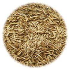 Vidaxl Trávové semeno pre suché a horúce oblasti 5 kg