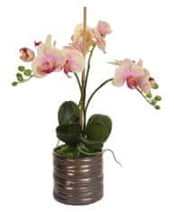 Shishi Ružovožlutá orchidea s kvetináčom 40 x 30 cm