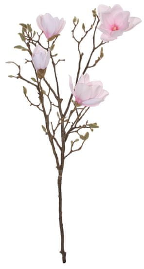 Shishi Ružová magnólia 115 cm