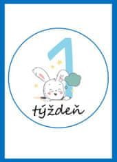 KidPro Míľnikové kartičky Zajačik pre chlapčeka, 25 ks