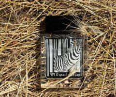 Rasasi Rumz Al Rasasi Zebra (9325) Pour Lui - EDP 50 ml