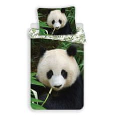 Jerry Fabrics Obliečky Panda Bavlna, 140/200, 70/90 cm