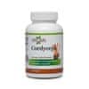 Natural Cordyceps sinensis - 500 mg - 60 kapsúl
