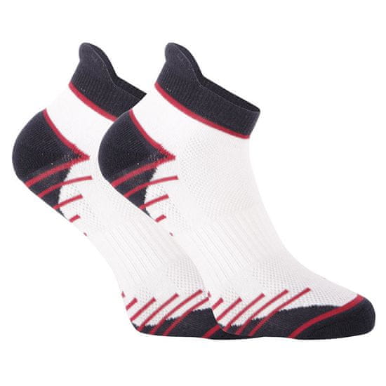 DIM 2PACK ponožky nízke viacfarebné (DI0006K9-6I9)