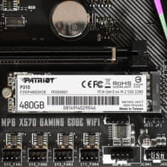 Patriot P310, M.2 - 480GB (P310P480GM28)