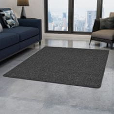 Vidaxl Všívaný koberec, 80x150 cm, antracitový