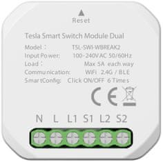 Tesla SMART Switch Module Dual