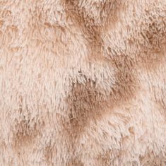 Vidaxl Chlpatý shaggy koberec krémový 200x140 cm