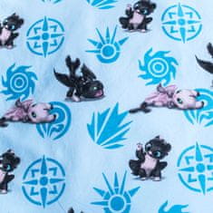 Jerry Fabrics Obliečky do postieľky Ako vycvičiť draka Babies baby 100x135, 40x60 cm