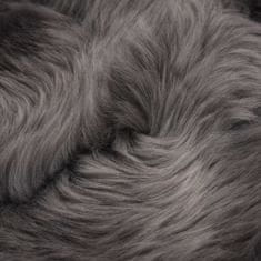 Petromila vidaXL Koberec z ovčej kože svetlosivý 60x180 cm