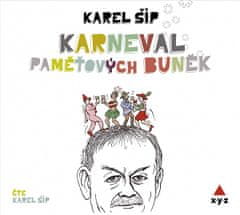 Karel Šíp: Karneval paměťových buněk (audiokniha)