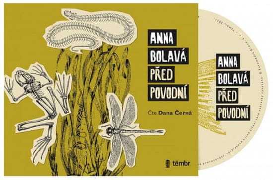 Anna Bolavá: Před povodní - audioknihovna
