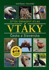 Karel Šťastný: Vtáky Česka a Slovenska - Ottov obrazový atlas (slovensky)