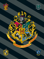 Jerry Fabrics Fleecová deka Harry Potter HP067