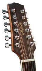 Ashton D25/12EQ elektroakustická kytara