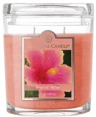 Colonial Candle Tropical Nectar 623 g