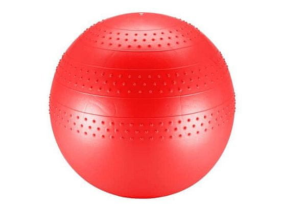 SEDCO Gymnastická lopta SPECIAL Gymball - 55 cm