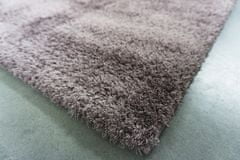 Berfin Dywany Kusový koberec MICROSOFT 8301 Dark lila 80x150