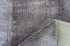 Berfin Dywany Kusový koberec MICROSOFT 8301 Dark lila 80x150