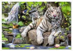 EDUCA Puzzle Biele bengálske tigre 1000 dielikov