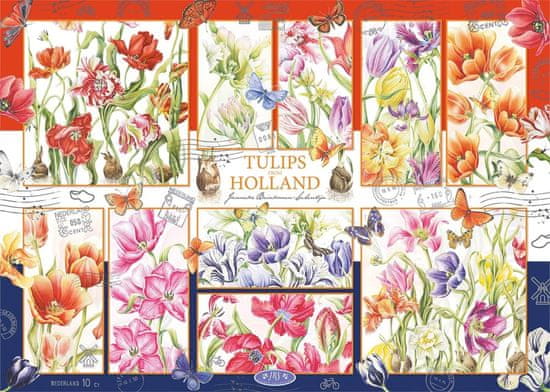 Jumbo Puzzle Holandské tulipány 1000 dielikov