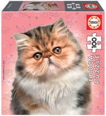 EDUCA Puzzle Perzská mačka 100 dielikov