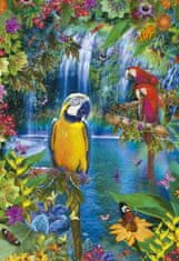 EDUCA Puzzle Raj tropických papagájov 500 dielikov