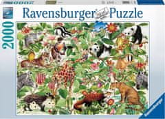 Ravensburger Puzzle Džungľa 2000 dielikov