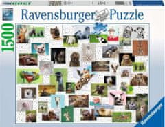 Ravensburger Puzzle Koláž so zvieracími grimasami 1500 dielikov