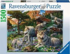 Ravensburger Puzzle Vlky na jar 1500 dielikov