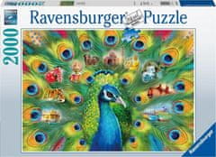 Ravensburger Puzzle Páv 2000 dielikov