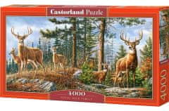 Castorland Puzzle Kráľovská jelenia rodina 4000 dielikov