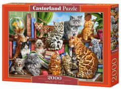 Castorland Puzzle Mačacie dom 2000 dielikov