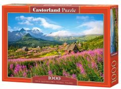 Castorland Puzzle Dolina Gąsienicowa, Tatry 1000 dielikov