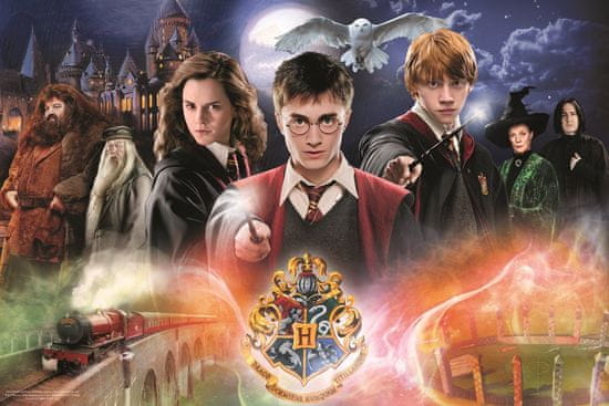 Trefl Puzzle Tajomný Harry Potter 300 dielikov
