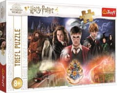 Trefl Puzzle Tajomný Harry Potter 300 dielikov