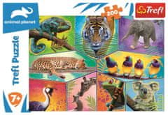 Trefl Puzzle Animal Planet: Svet exotických zvierat 200 dielikov