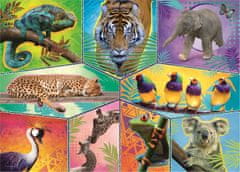 Trefl Puzzle Animal Planet: Svet exotických zvierat 200 dielikov