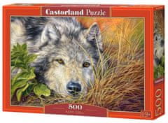Castorland Puzzle Čistá duša 500 dielikov