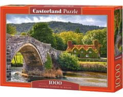 Castorland Puzzle Dedinka vo Walese 1000 dielikov