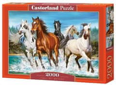 Castorland Puzzle Volanie prírody 2000 dielikov