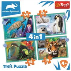 Trefl Puzzle Animal Planet: Záhadný svet zvierat 4v1 (35,48,54,70 dielikov)