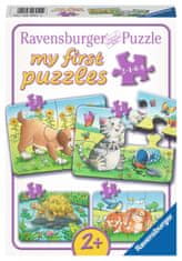 Ravensburger Moje prvé puzzle Zvieratá 4v1 (2,4,6,8 dielikov)